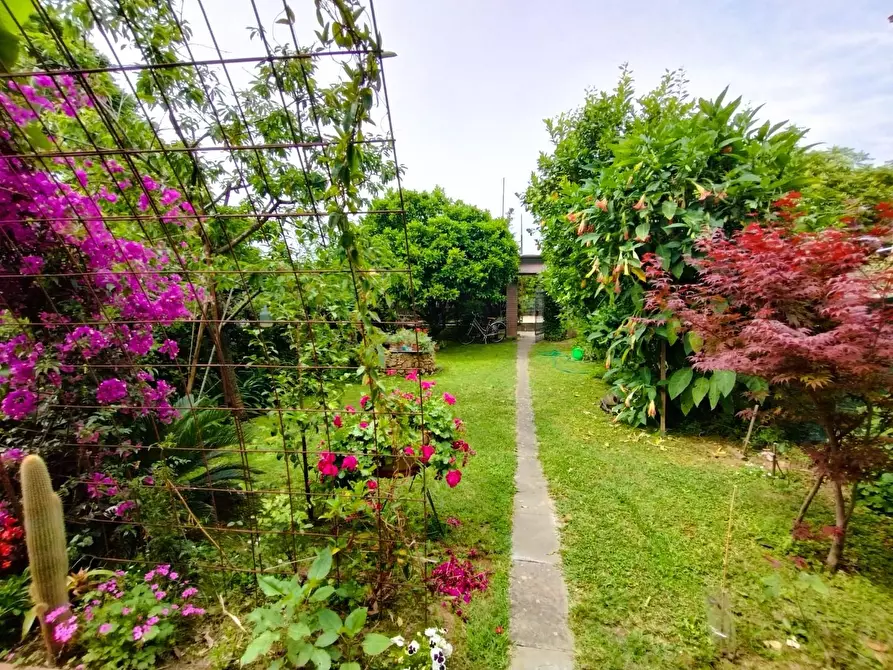 Immagine 1 di Casa semindipendente in vendita  a Pietrasanta