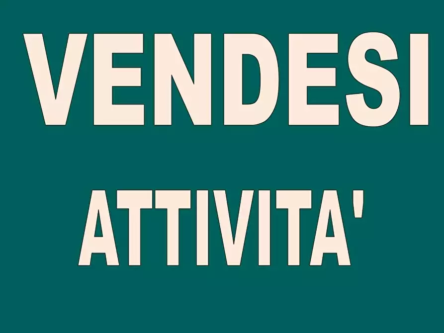 Immagine 1 di Attività commerciale in vendita  a Pisa