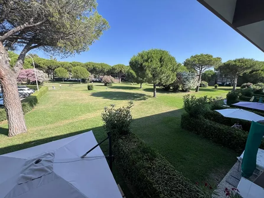 Immagine 4 di Appartamento in vendita  a Bibbona