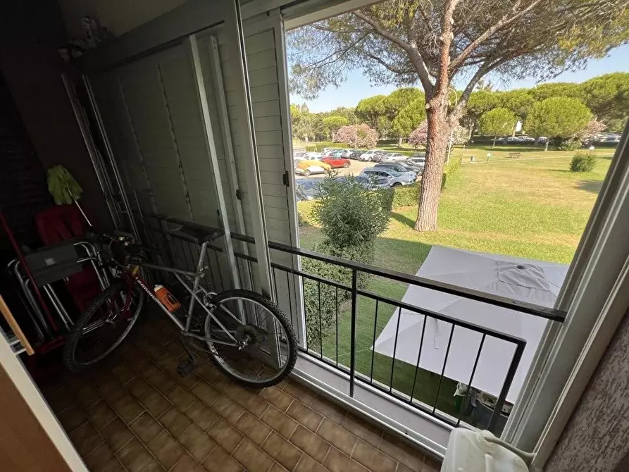 Immagine 3 di Appartamento in vendita  a Bibbona