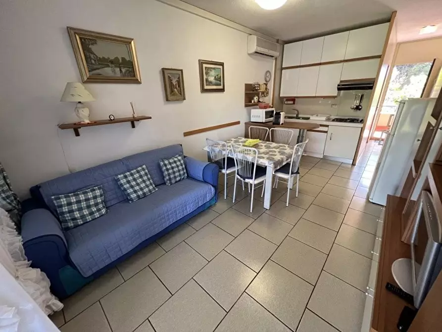 Immagine 10 di Appartamento in vendita  a Bibbona