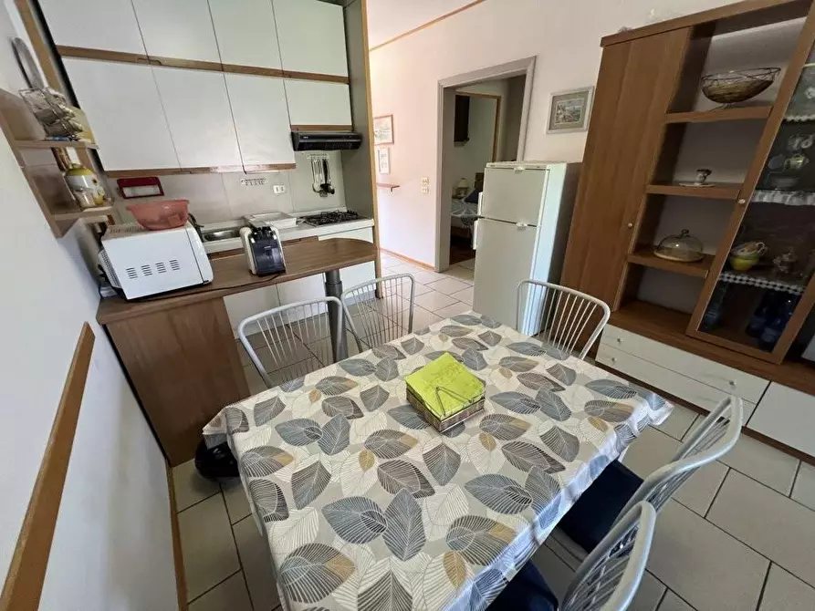 Immagine 13 di Appartamento in vendita  a Bibbona