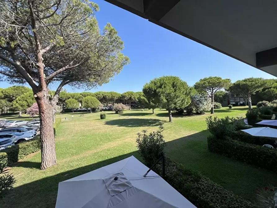 Immagine 5 di Appartamento in vendita  a Bibbona