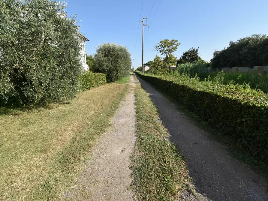 Immagine 44 di Villa in vendita  a San Giuliano Terme