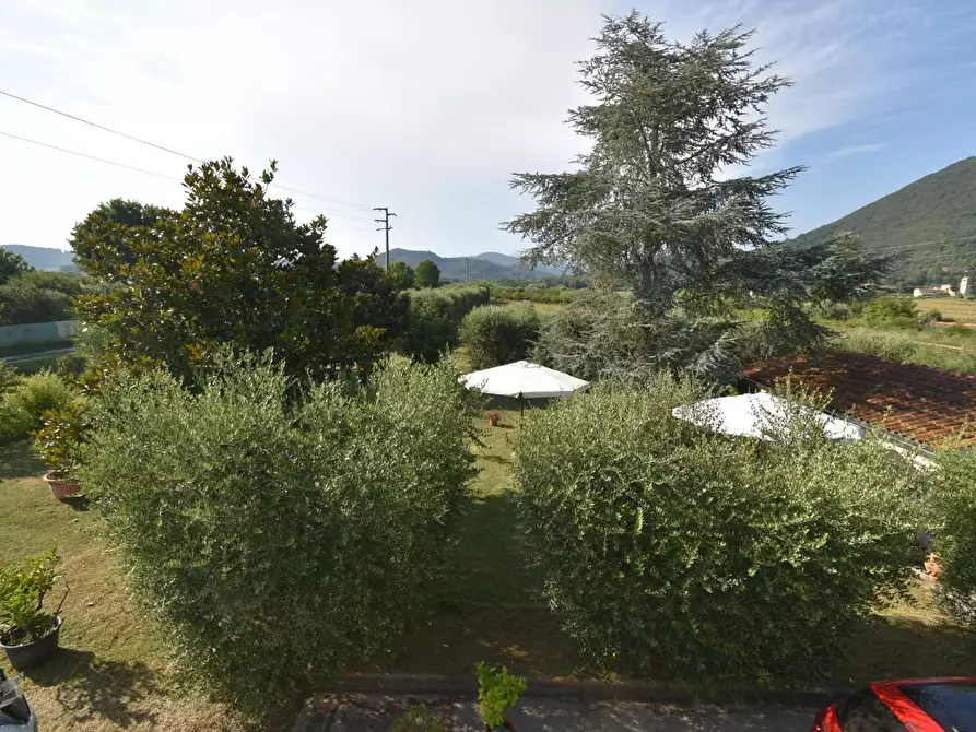 Immagine 38 di Villa in vendita  a San Giuliano Terme