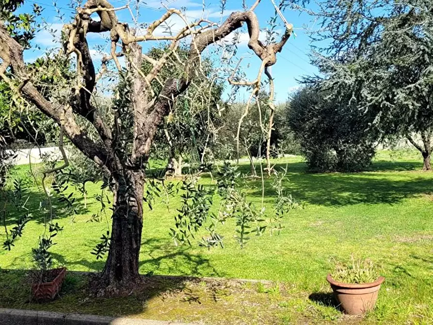 Immagine 36 di Villa in vendita  a San Giuliano Terme