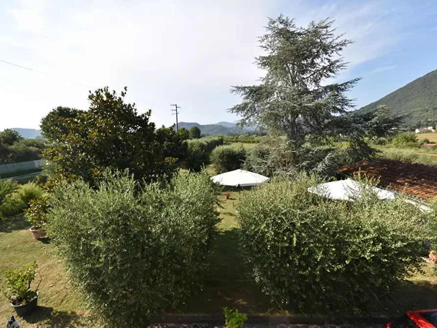 Immagine 5 di Villa in vendita  a San Giuliano Terme