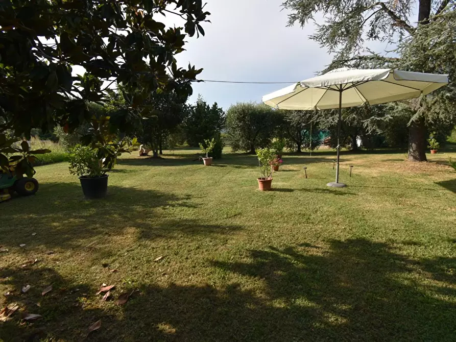 Immagine 45 di Villa in vendita  a San Giuliano Terme