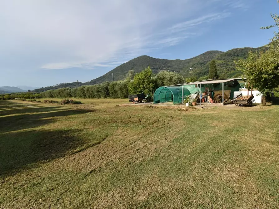 Immagine 48 di Villa in vendita  a San Giuliano Terme