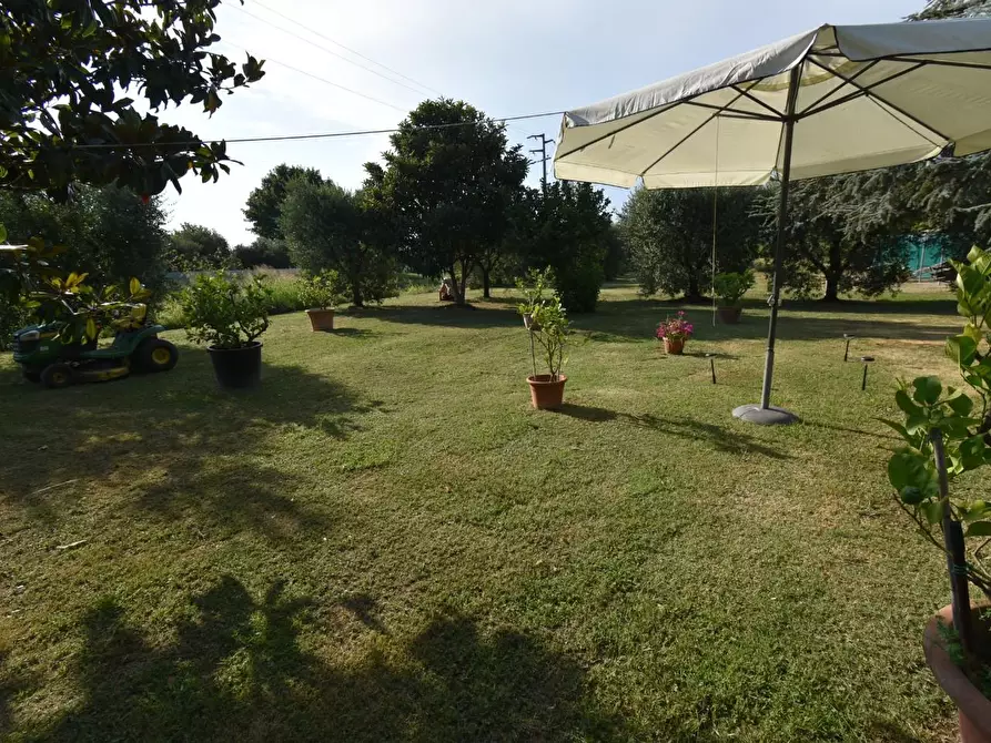 Immagine 46 di Villa in vendita  a San Giuliano Terme