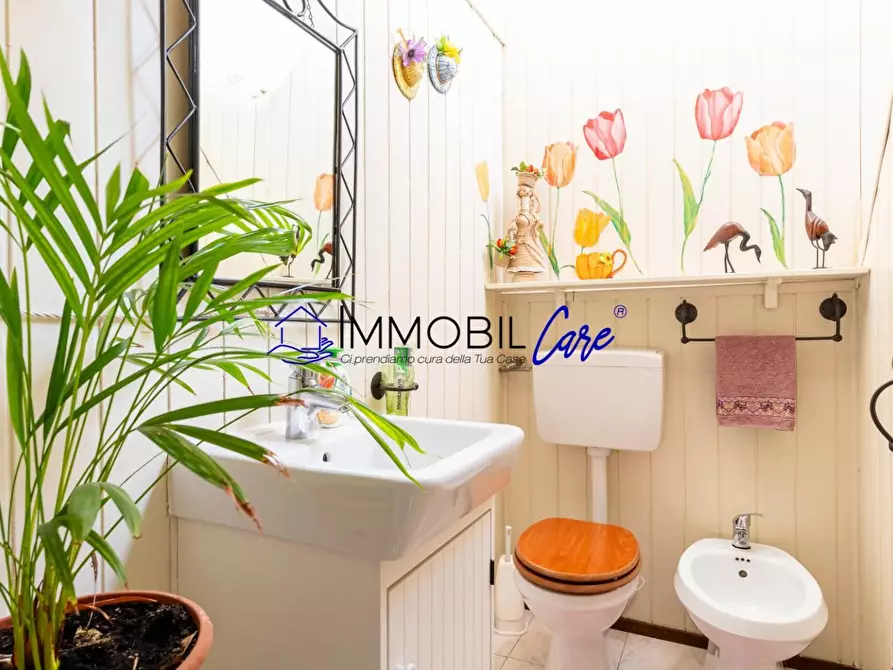 Immagine 15 di Casa indipendente in vendita  a Collesalvetti