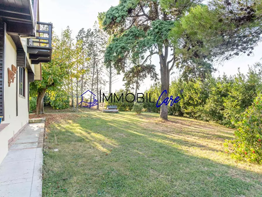 Immagine 21 di Casa indipendente in vendita  a Collesalvetti