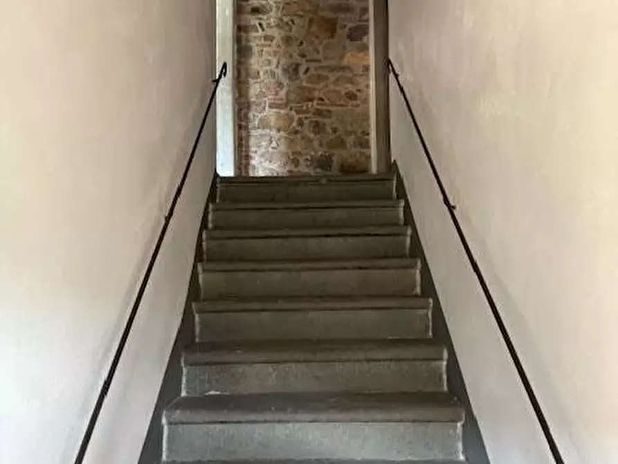 Immagine 8 di Terratetto in vendita  a Calci