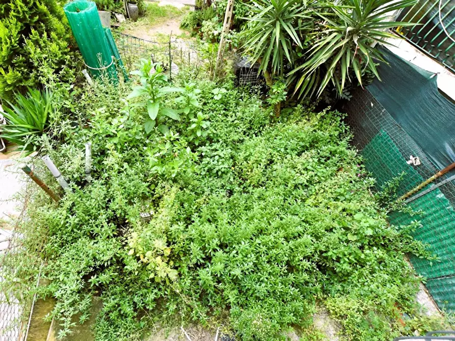 Immagine 11 di Terratetto in vendita  a Empoli