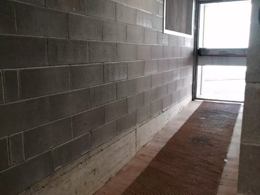 Immagine 9 di Garage in vendita  a Livorno