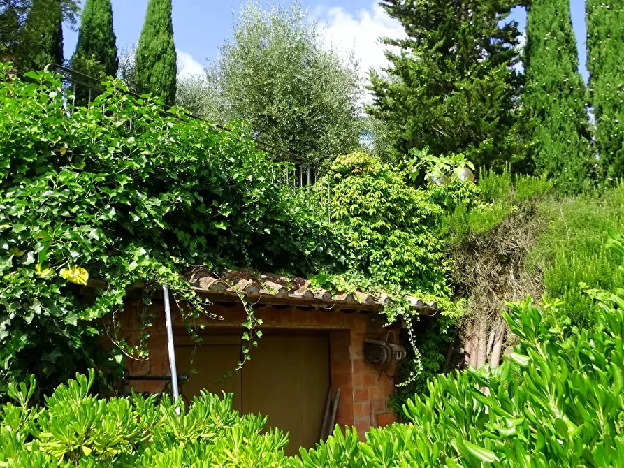 Immagine 60 di Villa in vendita  a Montopoli In Val D'arno