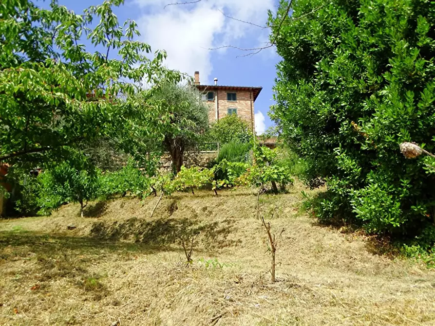 Immagine 32 di Villa in vendita  a Montopoli In Val D'arno