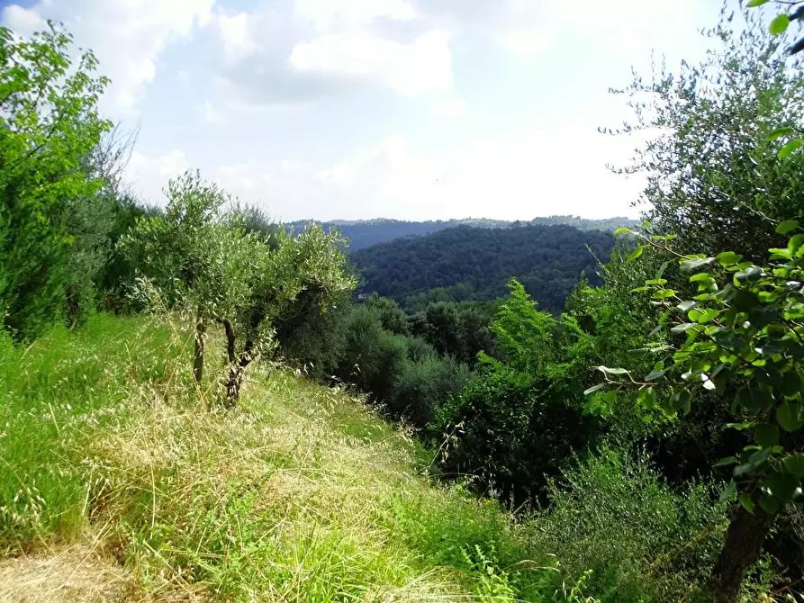 Immagine 61 di Villa in vendita  a Montopoli In Val D'arno