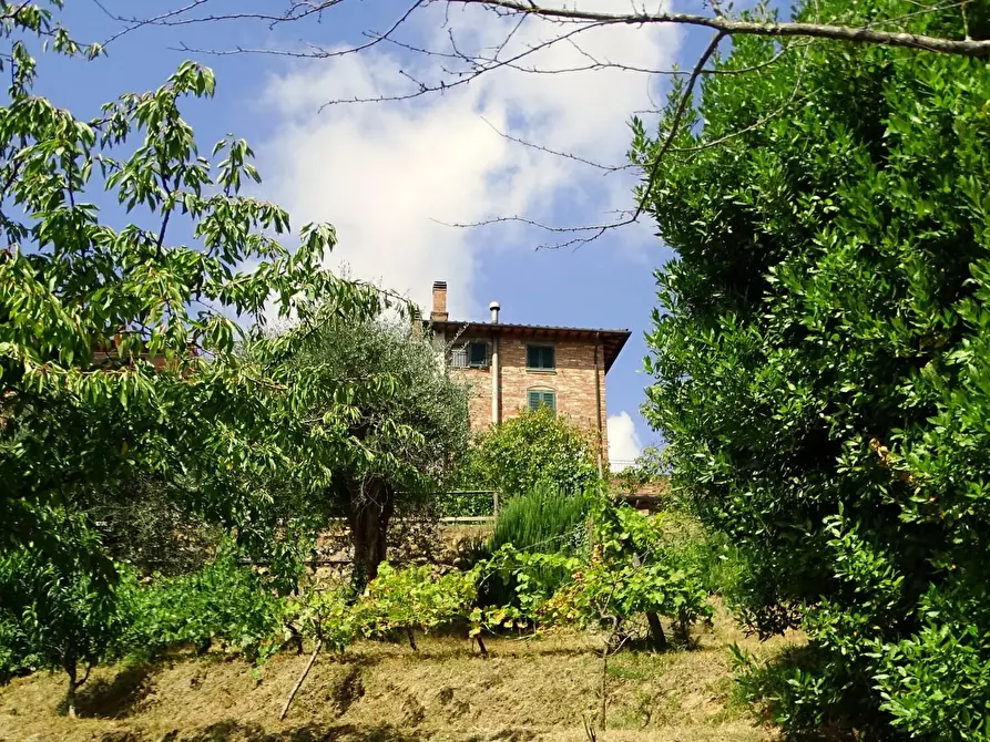 Immagine 1 di Villa in vendita  a Montopoli In Val D'arno