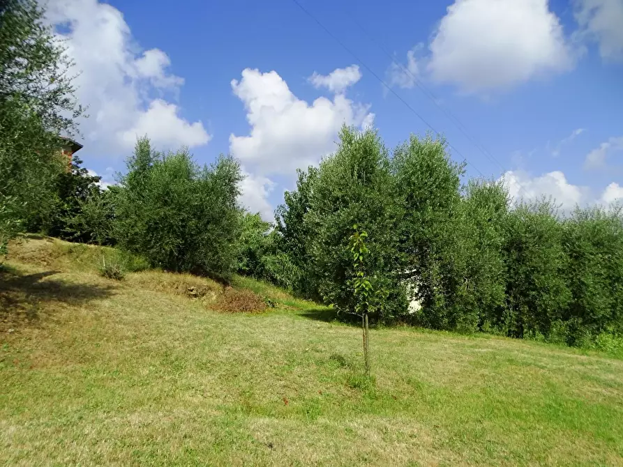 Immagine 59 di Villa in vendita  a Montopoli In Val D'arno