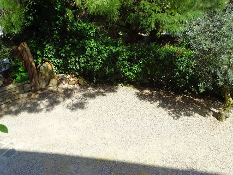 Immagine 44 di Villa in vendita  a Montopoli In Val D'arno