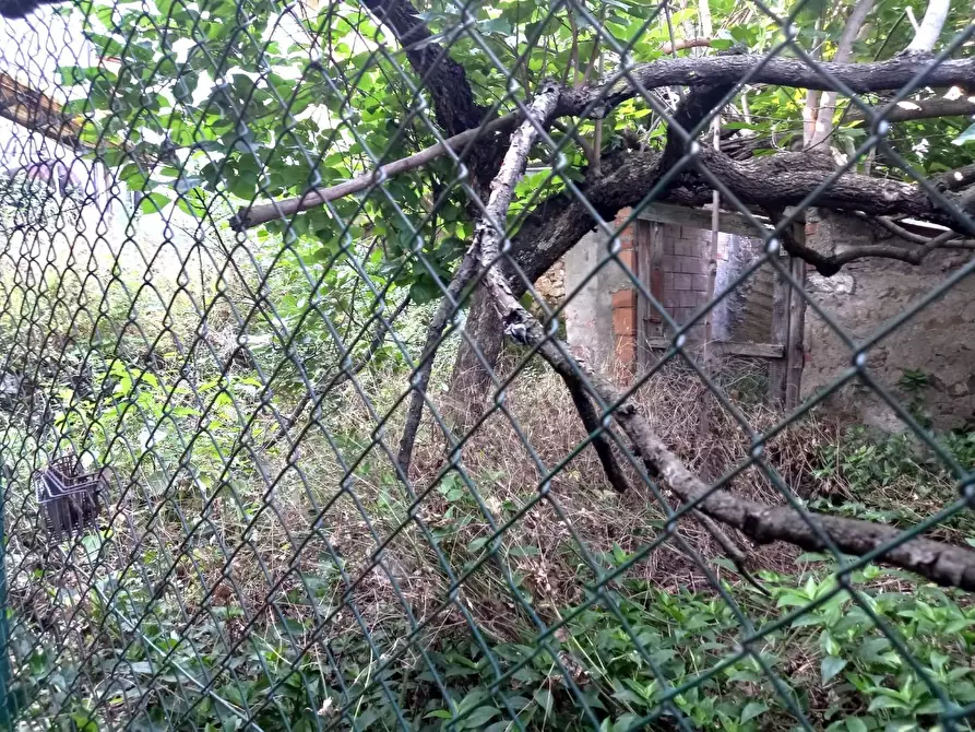 Immagine 17 di Terratetto in vendita  a Villa Basilica