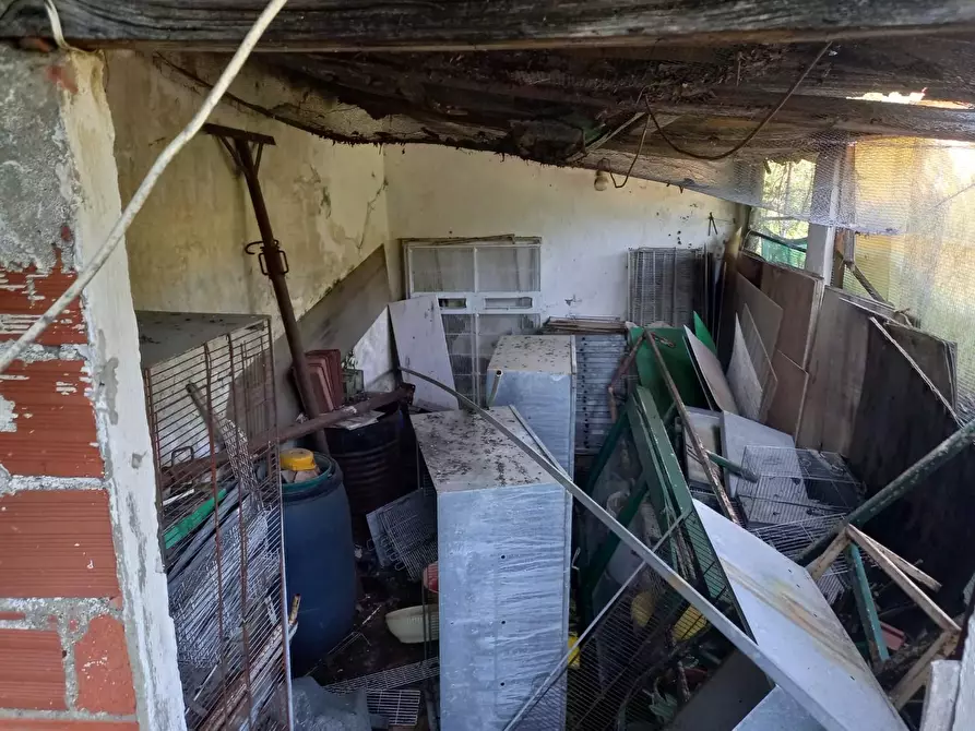 Immagine 15 di Terratetto in vendita  a Villa Basilica