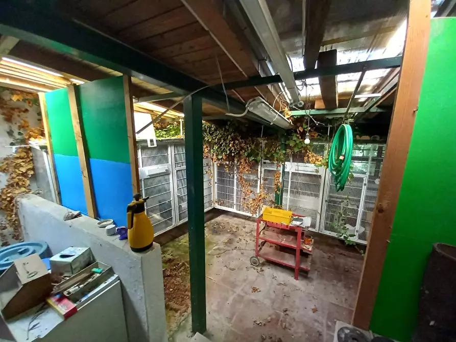 Immagine 14 di Terratetto in vendita  a Villa Basilica