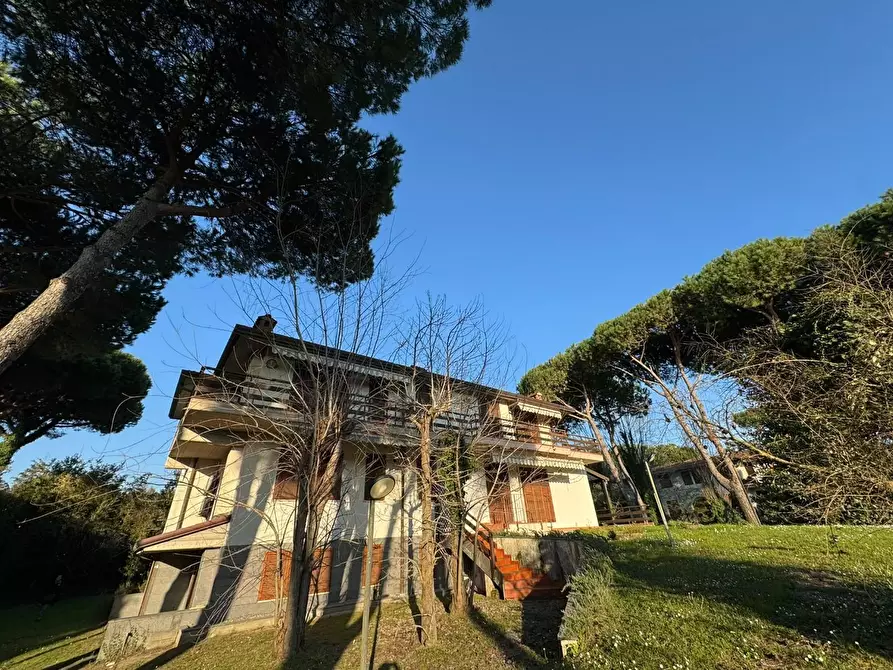 Immagine 57 di Villa in vendita  a Massa