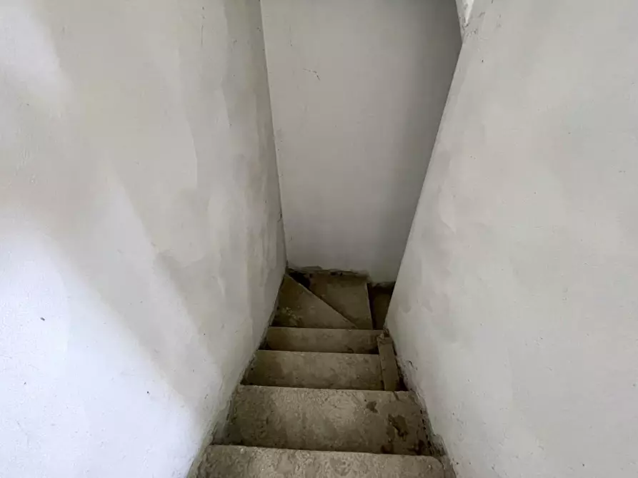 Immagine 15 di Casa bifamiliare in vendita  a Camaiore