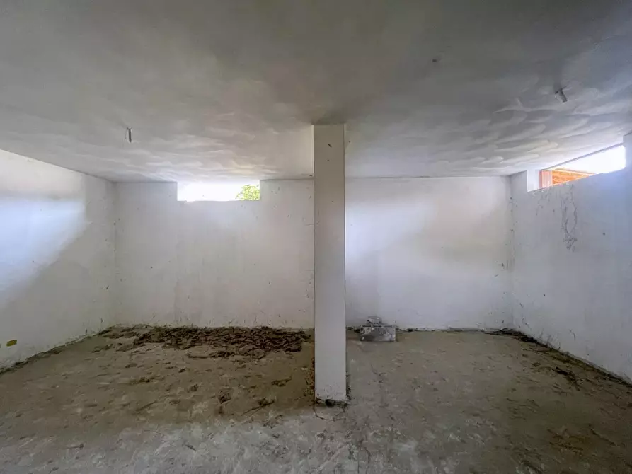 Immagine 18 di Casa bifamiliare in vendita  a Camaiore