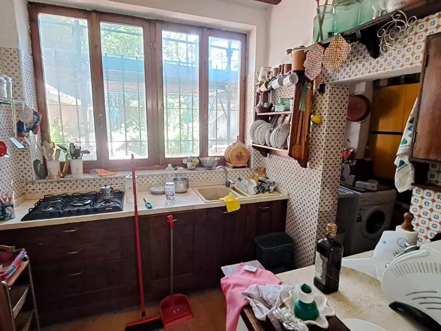 Immagine 13 di Appartamento in vendita  a Rosignano Marittimo