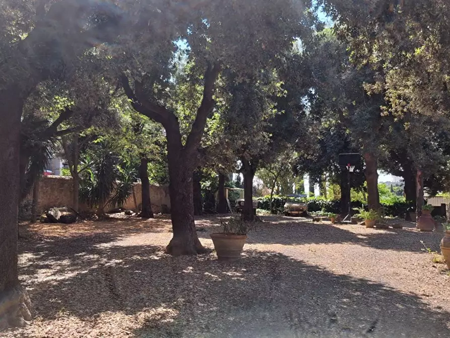 Immagine 20 di Appartamento in vendita  a Rosignano Marittimo