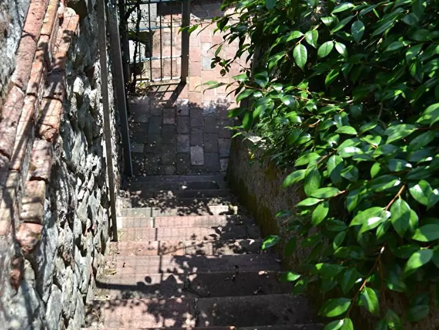 Immagine 40 di Terratetto in vendita  a Villa Basilica