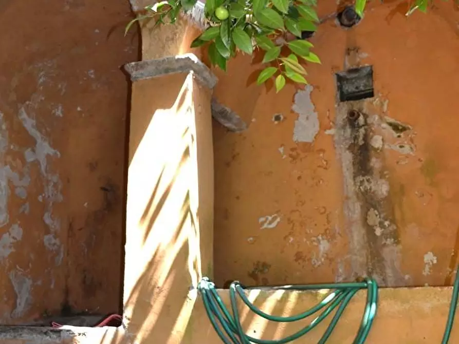 Immagine 25 di Terratetto in vendita  a Villa Basilica