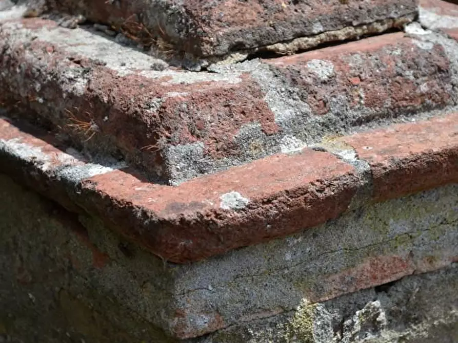 Immagine 27 di Terratetto in vendita  a Villa Basilica