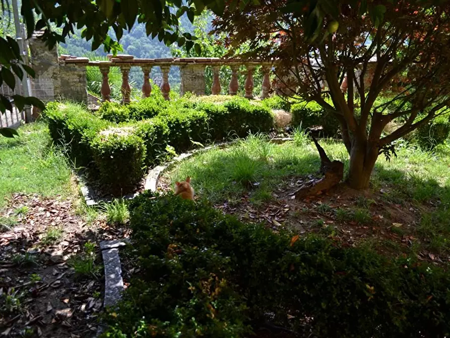 Immagine 8 di Terratetto in vendita  a Villa Basilica