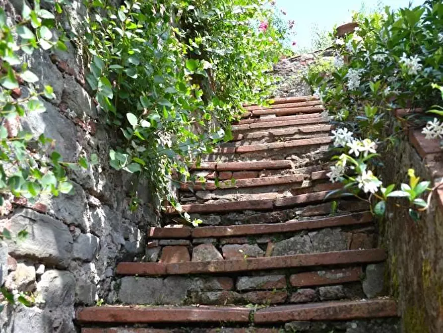Immagine 32 di Terratetto in vendita  a Villa Basilica