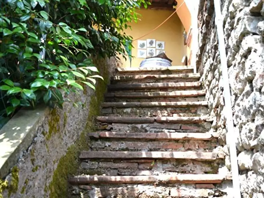 Immagine 30 di Terratetto in vendita  a Villa Basilica