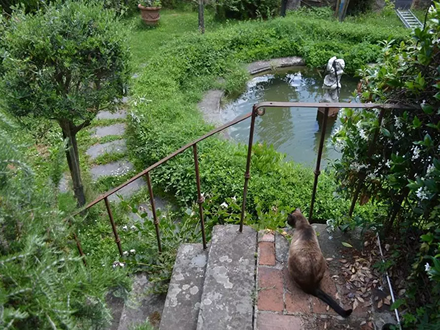 Immagine 38 di Terratetto in vendita  a Villa Basilica