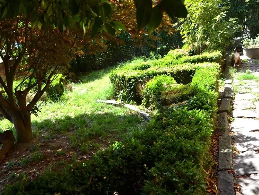 Immagine 34 di Terratetto in vendita  a Villa Basilica