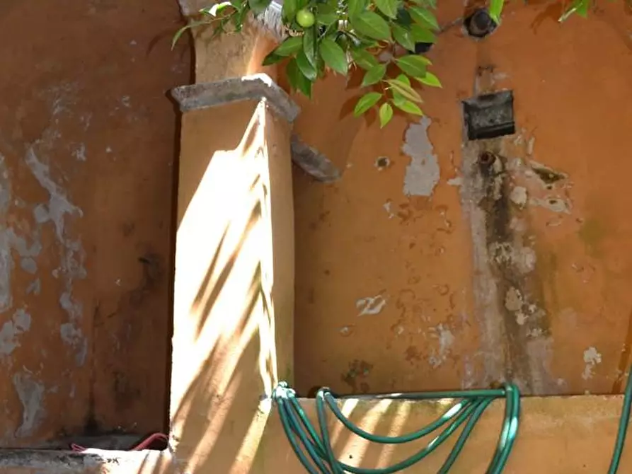 Immagine 37 di Terratetto in vendita  a Villa Basilica