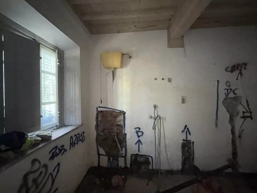 Immagine 6 di Terratetto in vendita  a Capannori