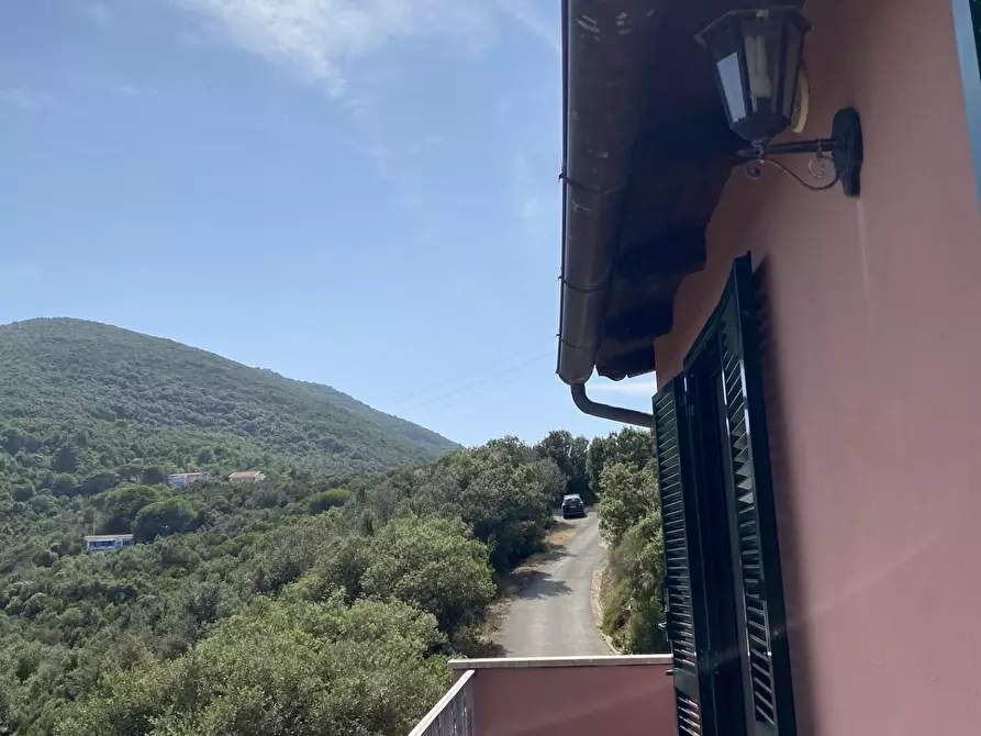 Immagine 26 di Appartamento in vendita  a Rio Marina