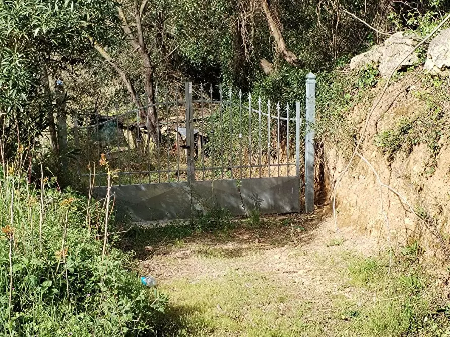 Immagine 5 di Terreno residenziale in vendita  a Bibbona