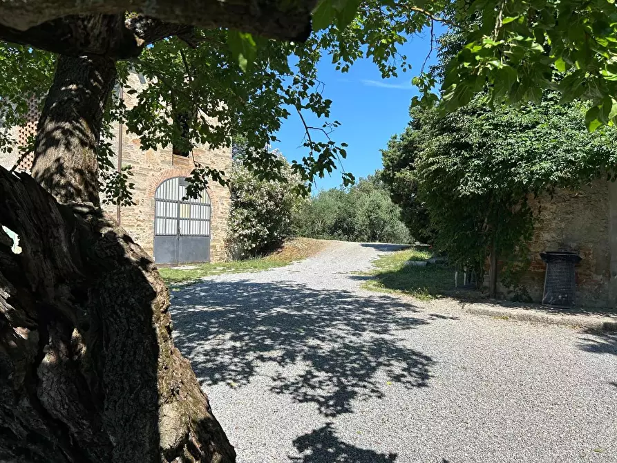 Immagine 41 di Casa colonica in vendita  a Carmignano
