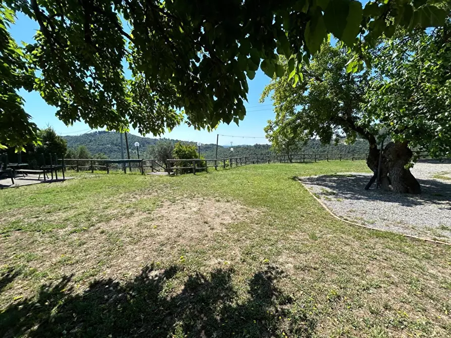 Immagine 53 di Casa colonica in vendita  a Carmignano