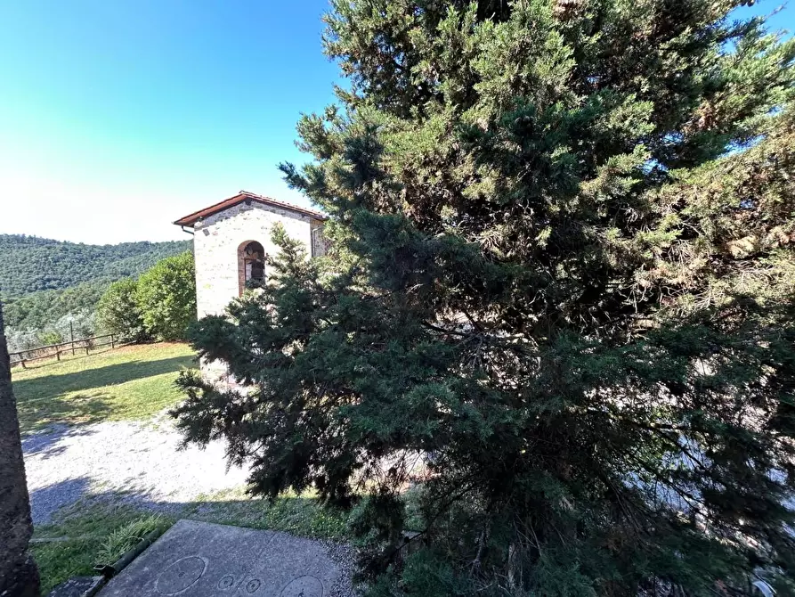 Immagine 21 di Casa colonica in vendita  a Carmignano