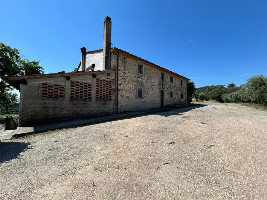 Immagine 49 di Casa colonica in vendita  a Carmignano