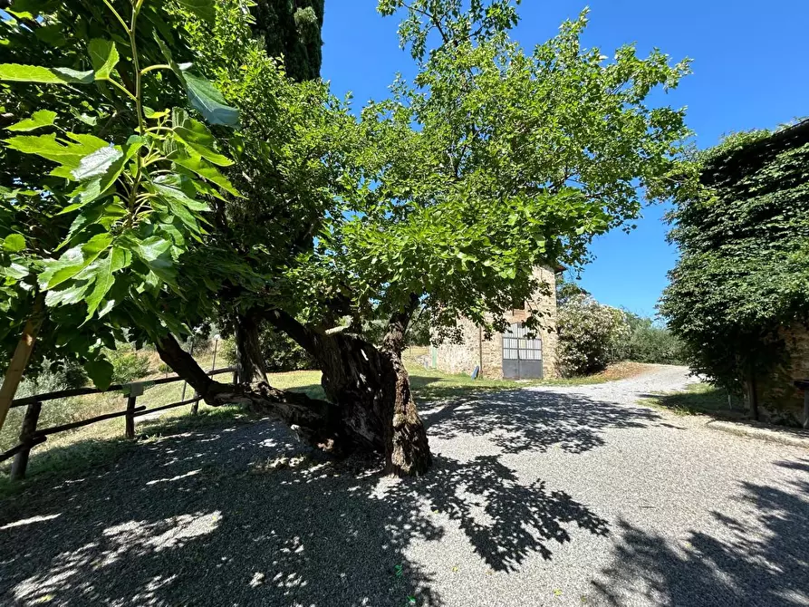 Immagine 40 di Casa colonica in vendita  a Carmignano